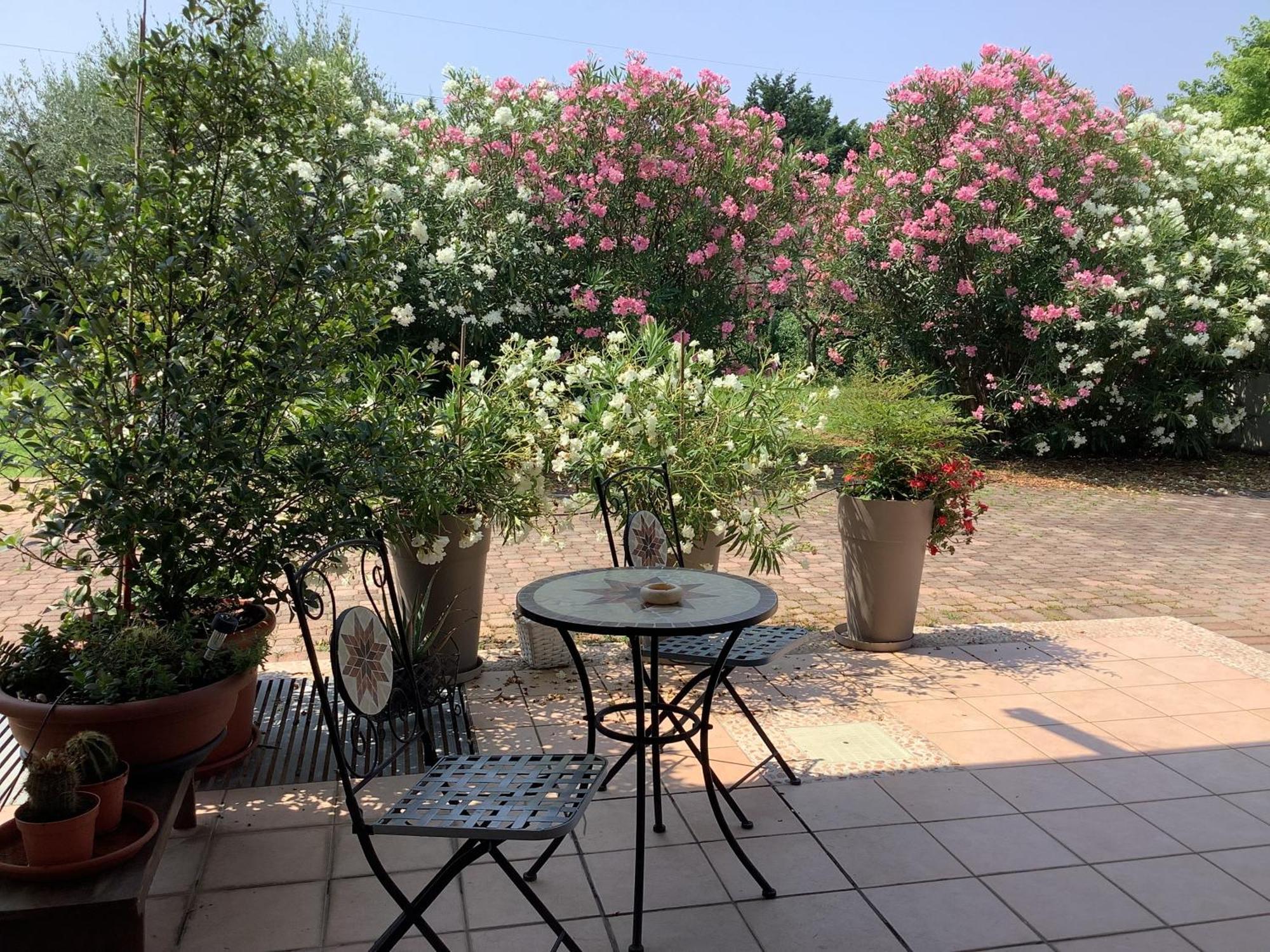 Edyshome Peschiera del Garda Eksteriør bilde